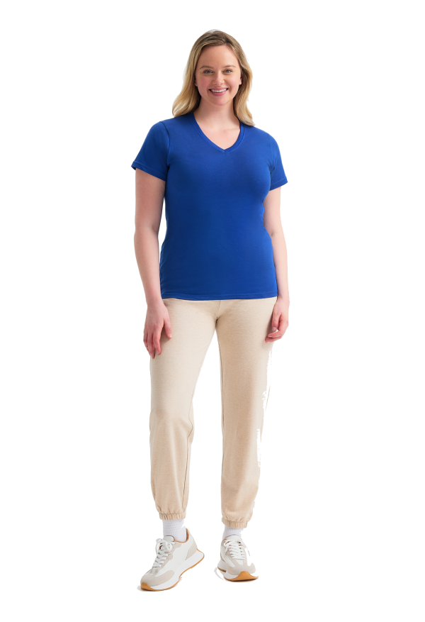 Ladies V Neck Fitted T-Shirt